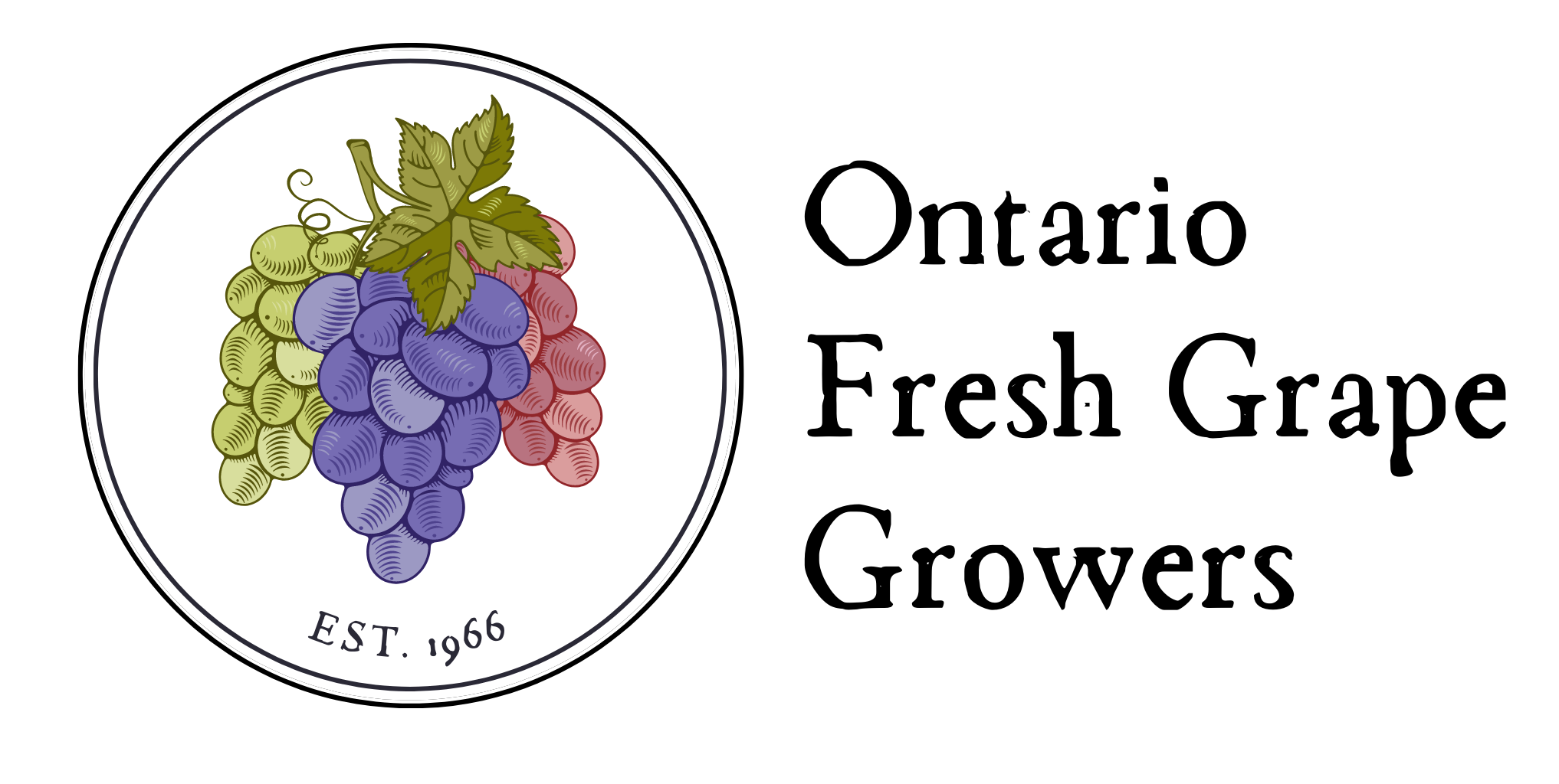 Ontario Tender Fruit News Celebrating a Successful Ontario Table Grape Season